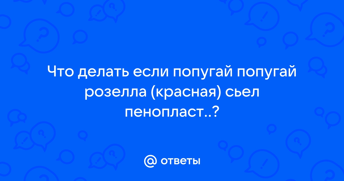 Что делать если попугай наелся пенопласта