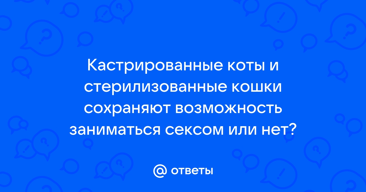 КАСТРАЦИЯ и всё что необходимо знать о ней | Кот-Secret © Кошки и их люди | VK