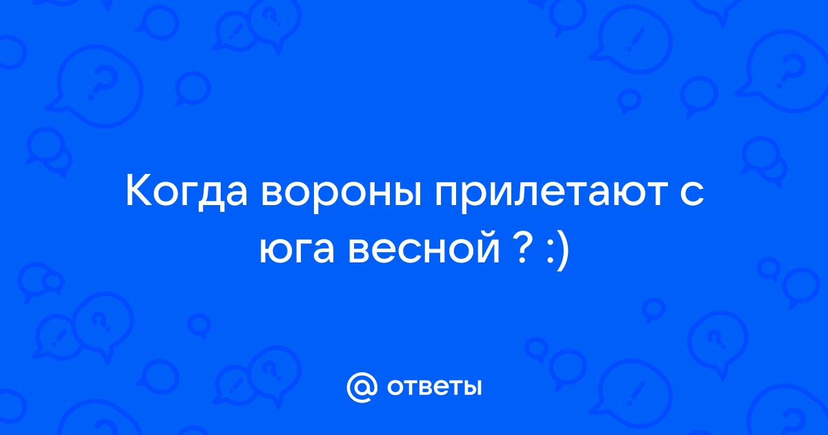 После летней разлуки прилетают в город галки вороны и занимают зимние квартиры карнизы чердаки крыши