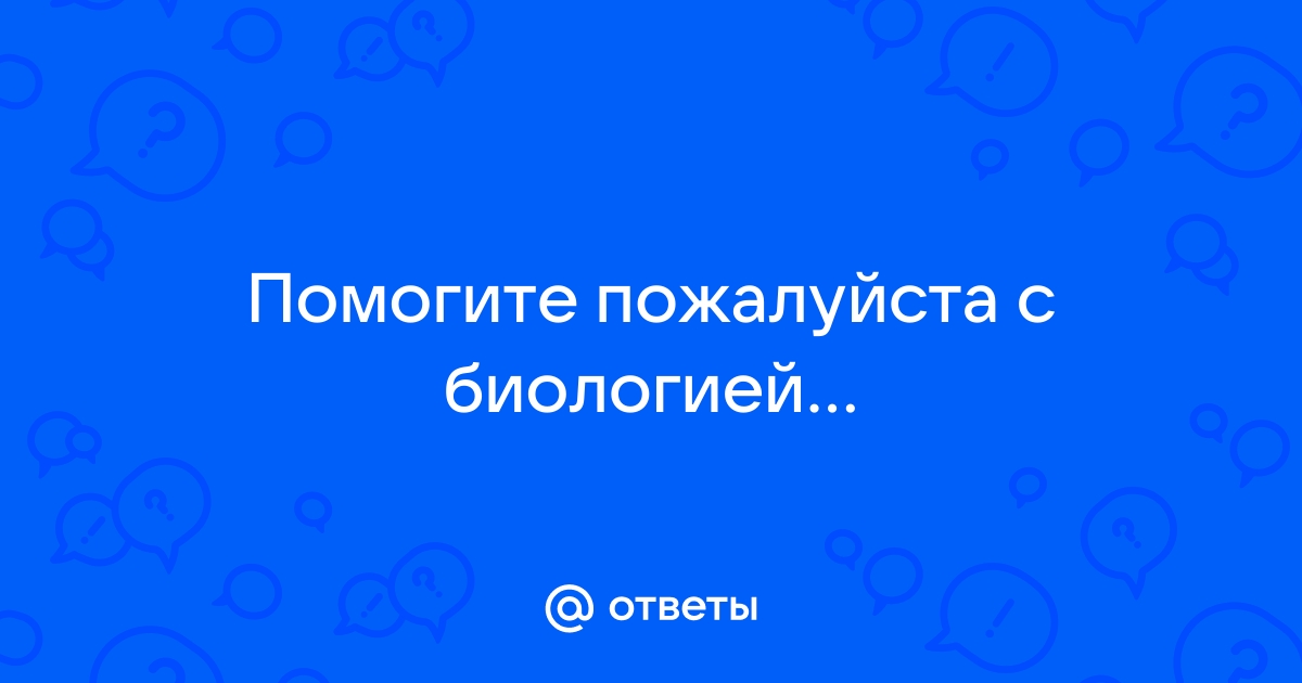 Тяжелейшие условия пострижет волосы играющиеся дети лазает по крышам клади на место