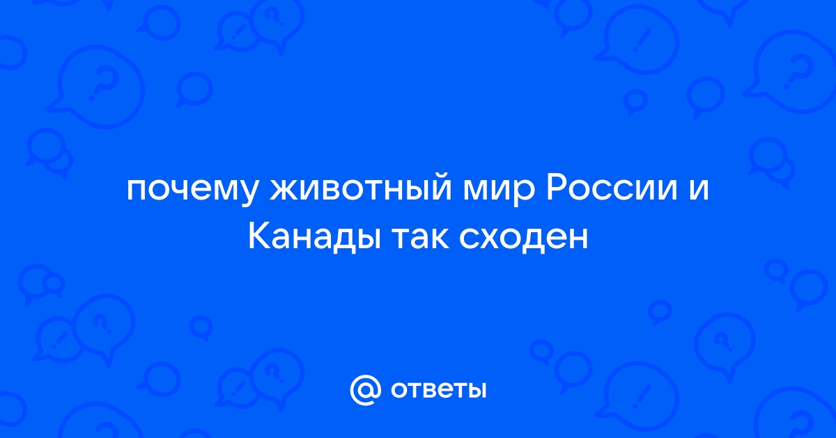 Почему животный мир россии и канады так сходен