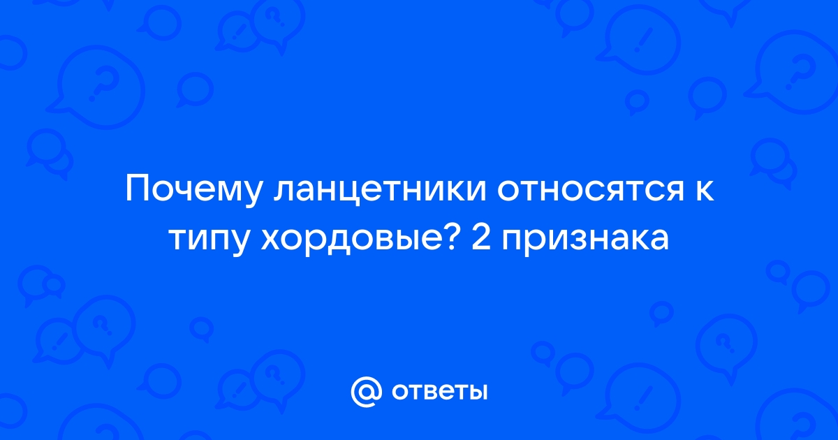 Общая характеристика хордовых, подготовка к ЕГЭ по биологии