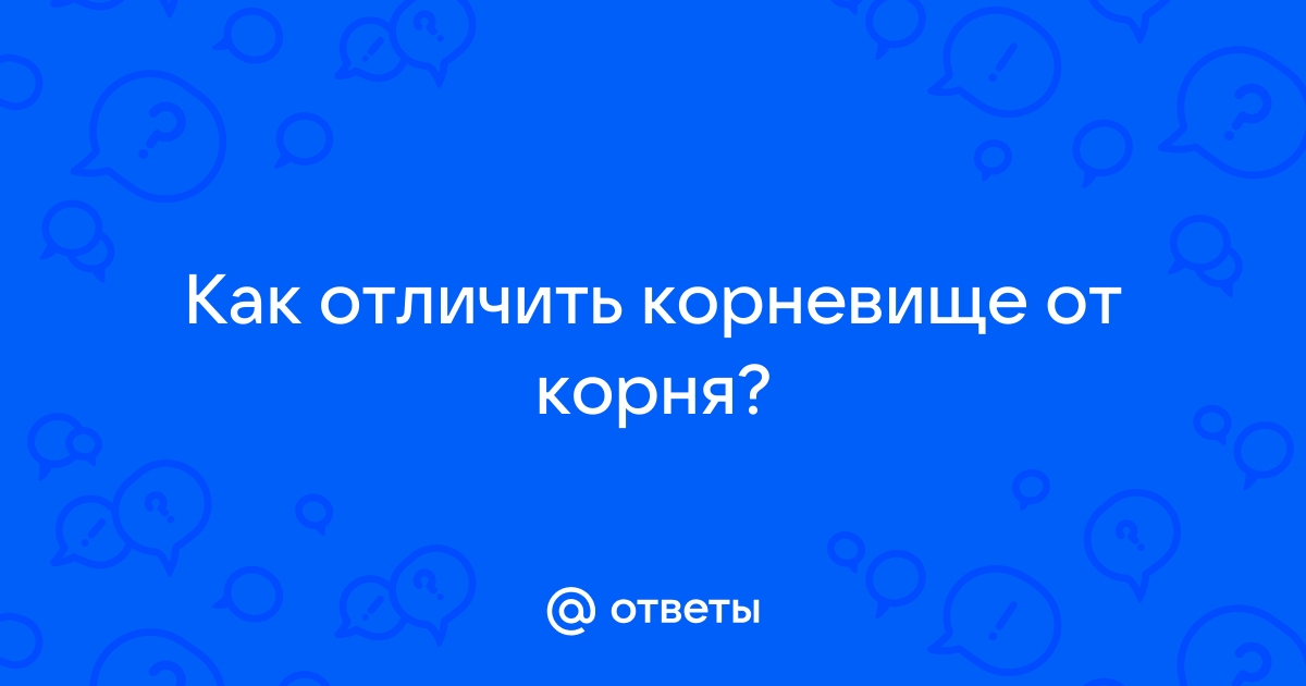 Приложение почему корень лож