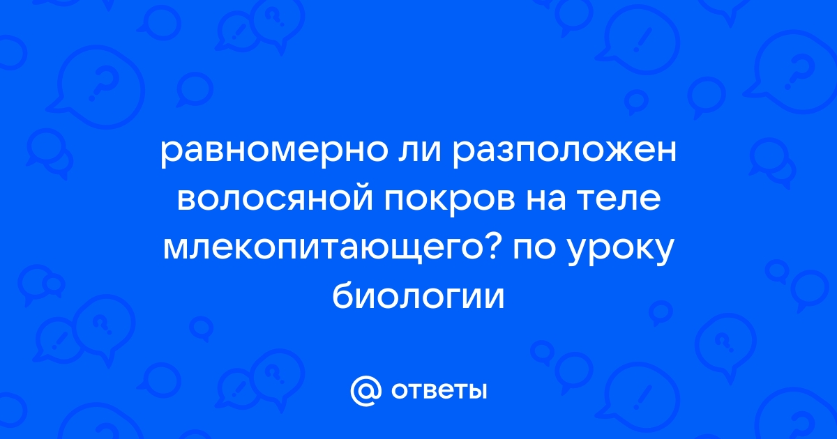 Однороден ли волосяной покров на теле млекопитающего