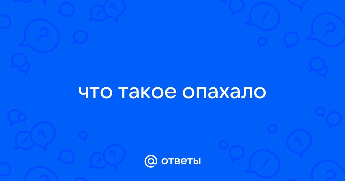 ВЛОГ. Зачем ем сало?/Гигантский омлет!/Опахало для султана)