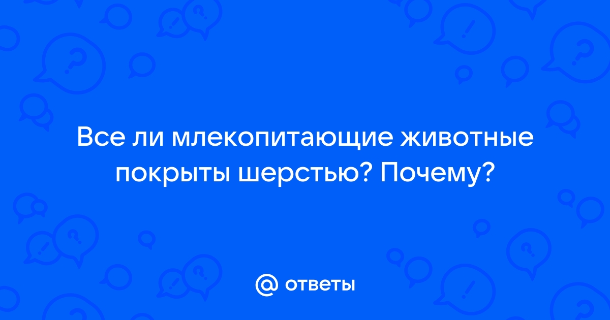 Почему у человека редуцировался волосяной покров на теле и остался на голове и в других местах?