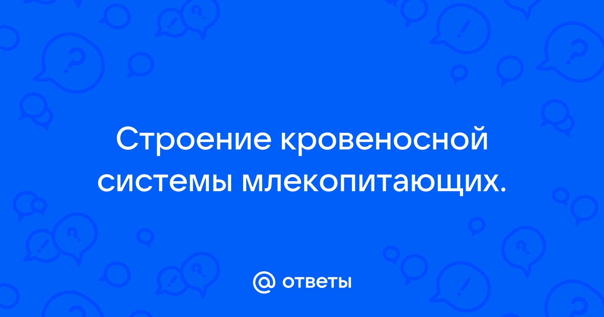 Вам поступил заказ на разработку модели кровеносной системы индивидуальный проект ответы на вопросы