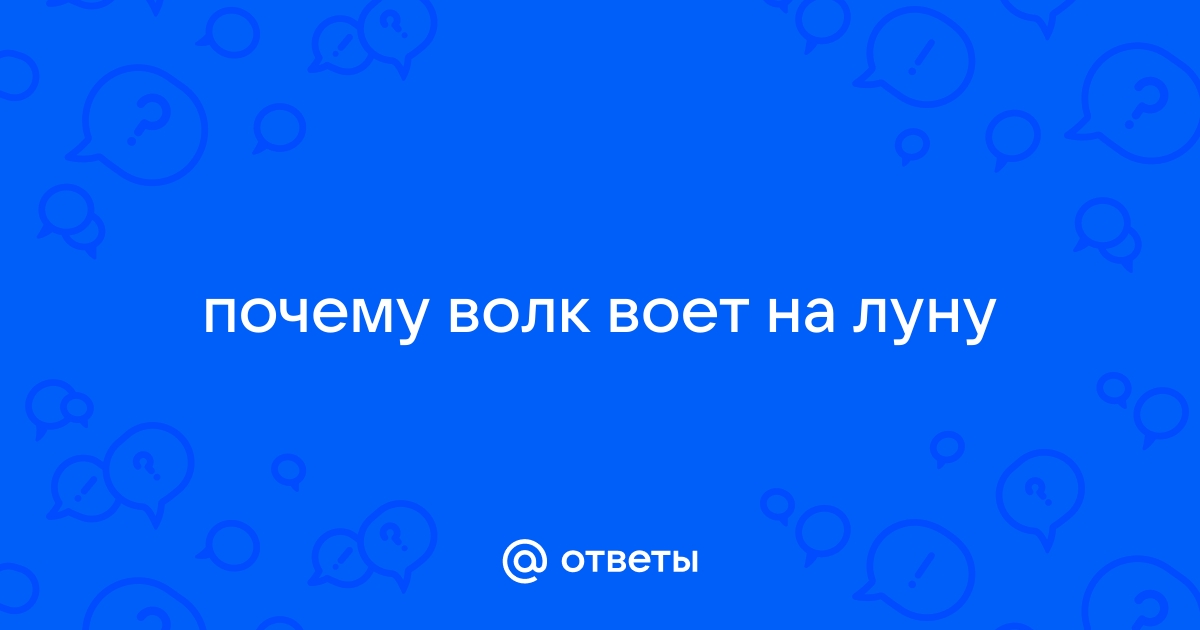 Зачем волки воют и почему именно на луну? Объясняем просто | Этобаза | Дзен