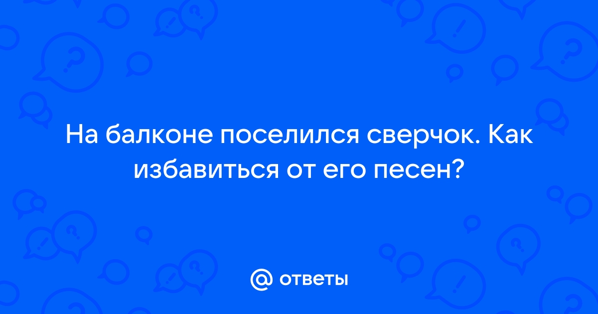 Сверчок на балконе как избавиться