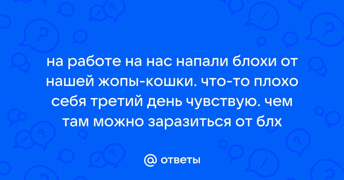 «Винни, покажи нам жопу!» Легендарное фото «банды психов»