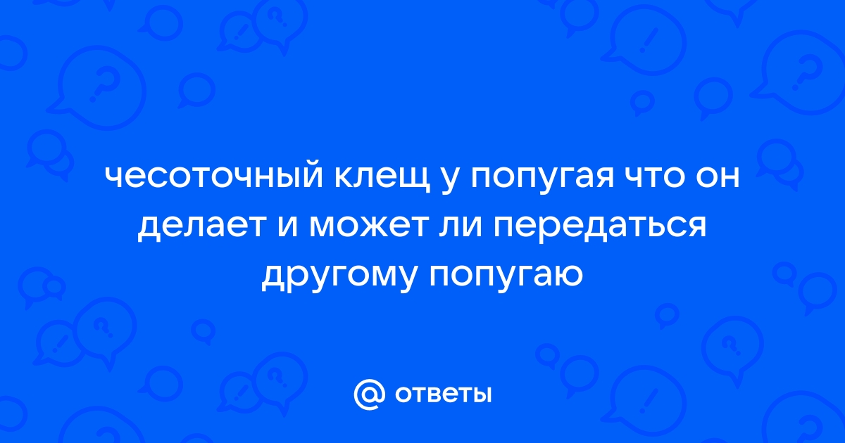 Волнистый попугай - клещ/лишай - как лечить? Фото есть