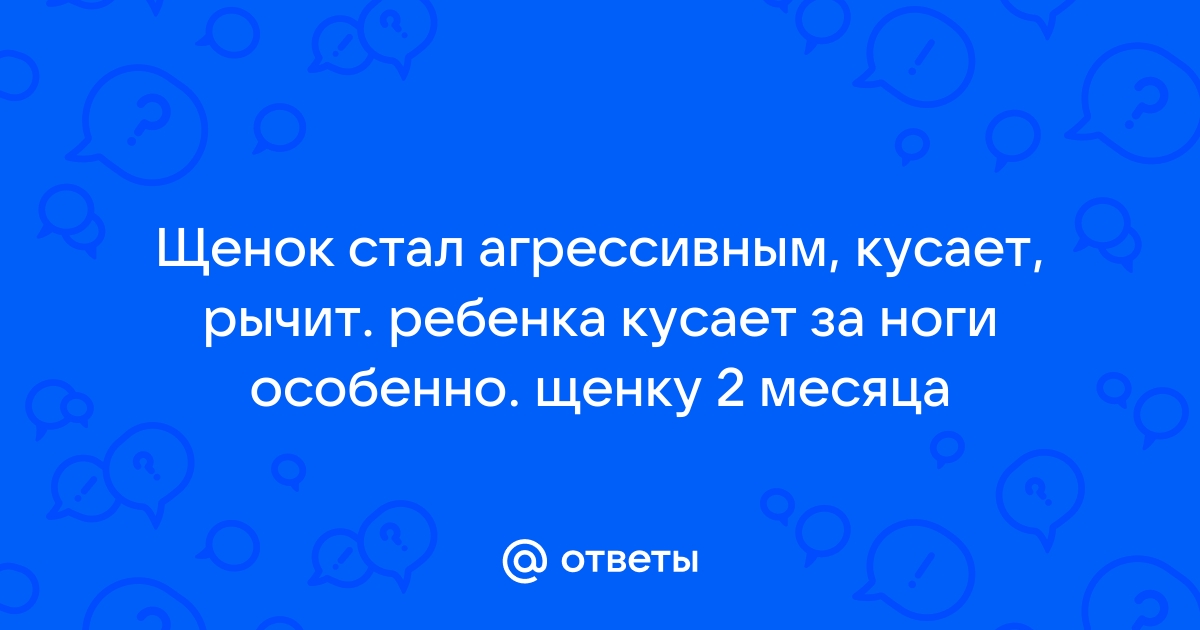 Как отучить щенка кусаться?