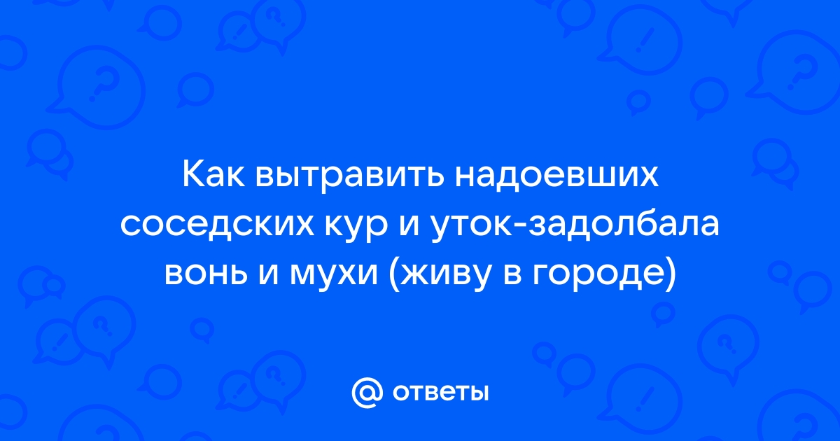 Переполох в курятнике: на Алтае дачники подали в суд на соседей из-за куриц