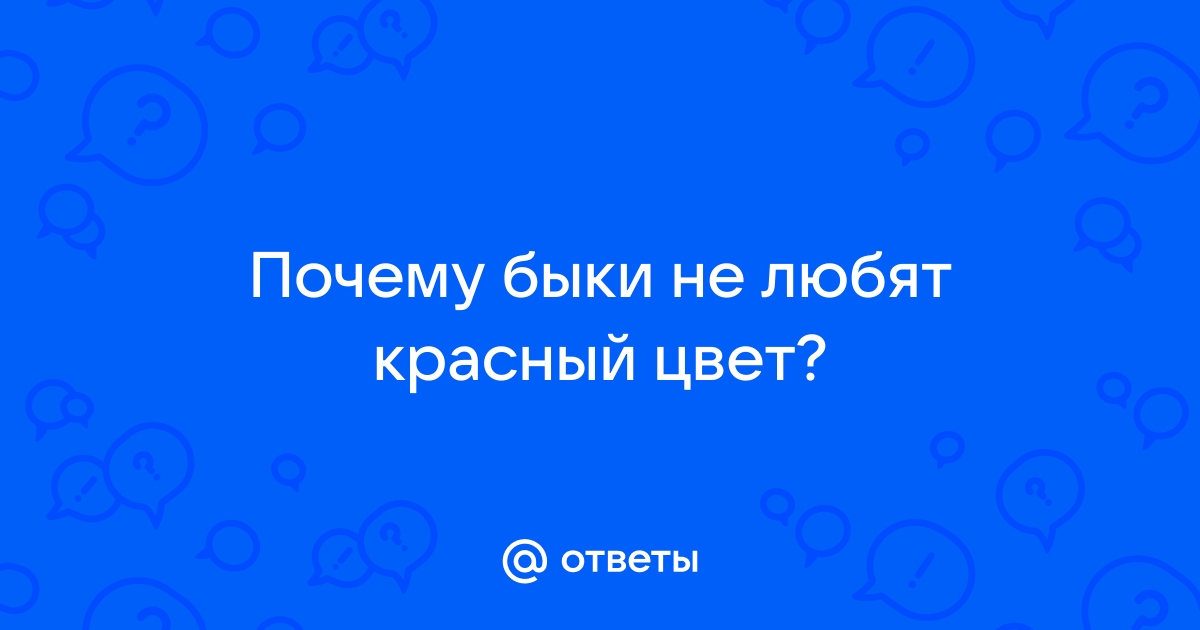 Быки ненавидят красный цвет