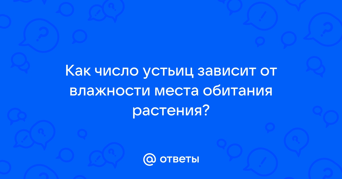 Рассмотри изображение устьиц и ответь на вопросы