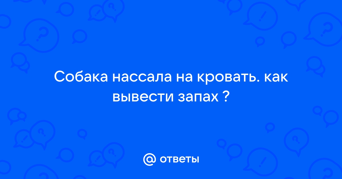 Пес нассал на диван