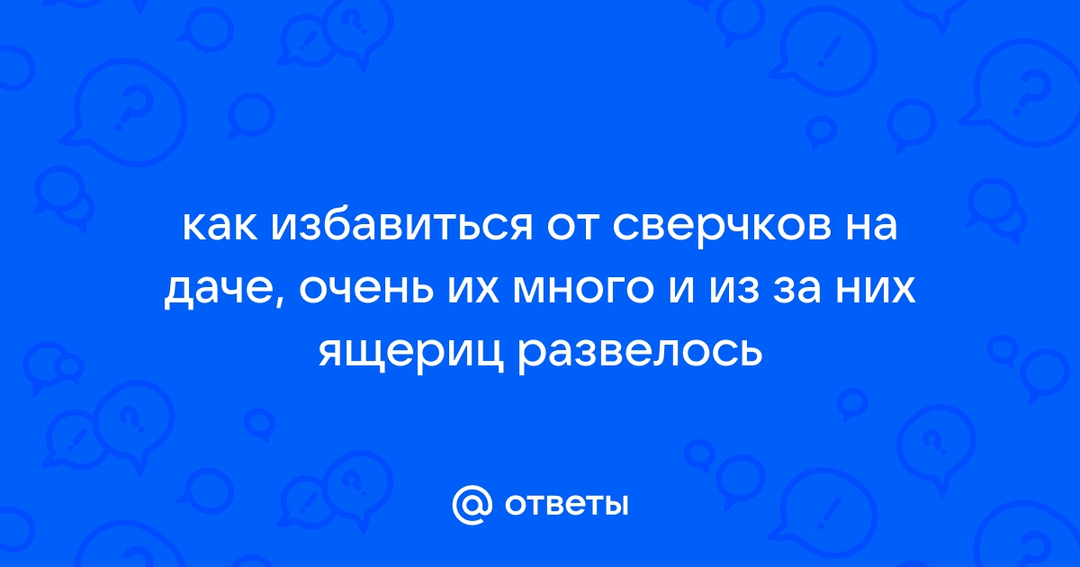 (PDF) Ономастика и грамматика. Сборник статей | rus lang - прокат-авто-стр.рф