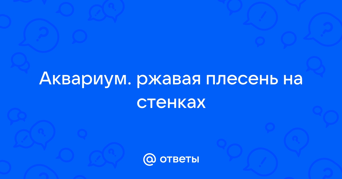 Плесень на стенках в аквариуме