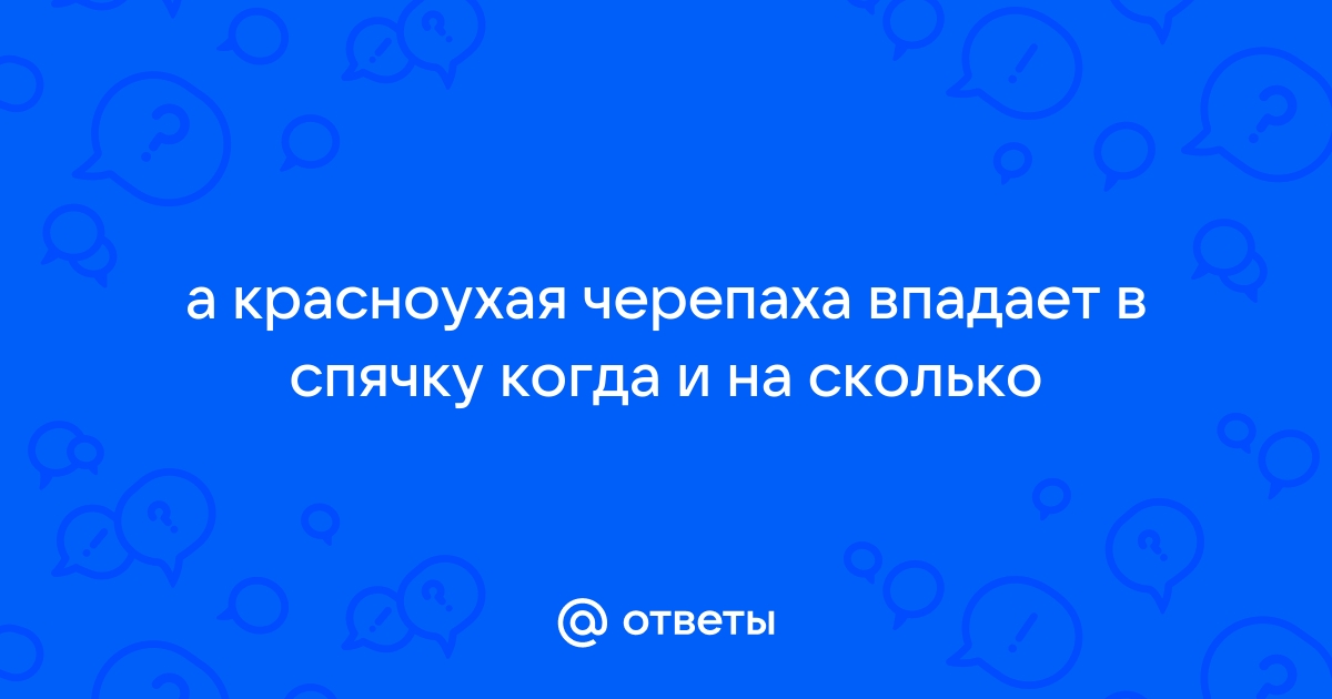 Как себя должна вести черепаха зимой? - 39 ответов - Форум Леди Mail