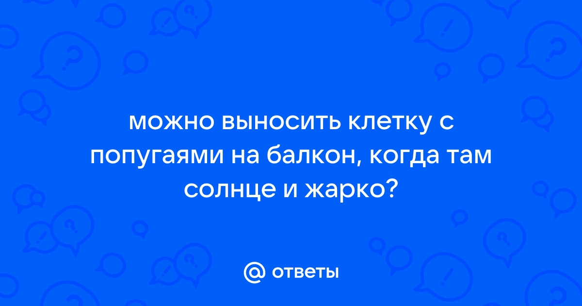 Можно ли попугаев ставить на солнце на балконе