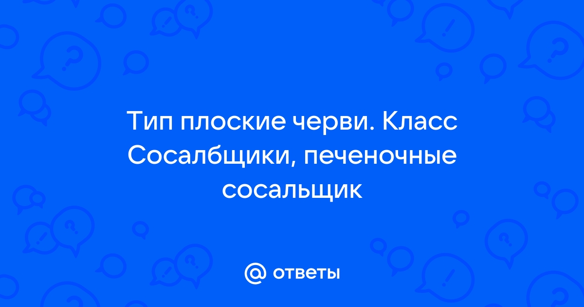 Типы Плоские, Круглые и Кольчатые черви — что это, определение и ответ