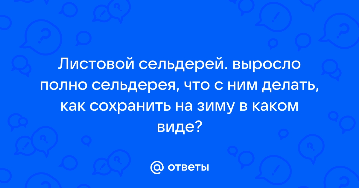 Сельдерей на зиму – 4 лучших рецептов