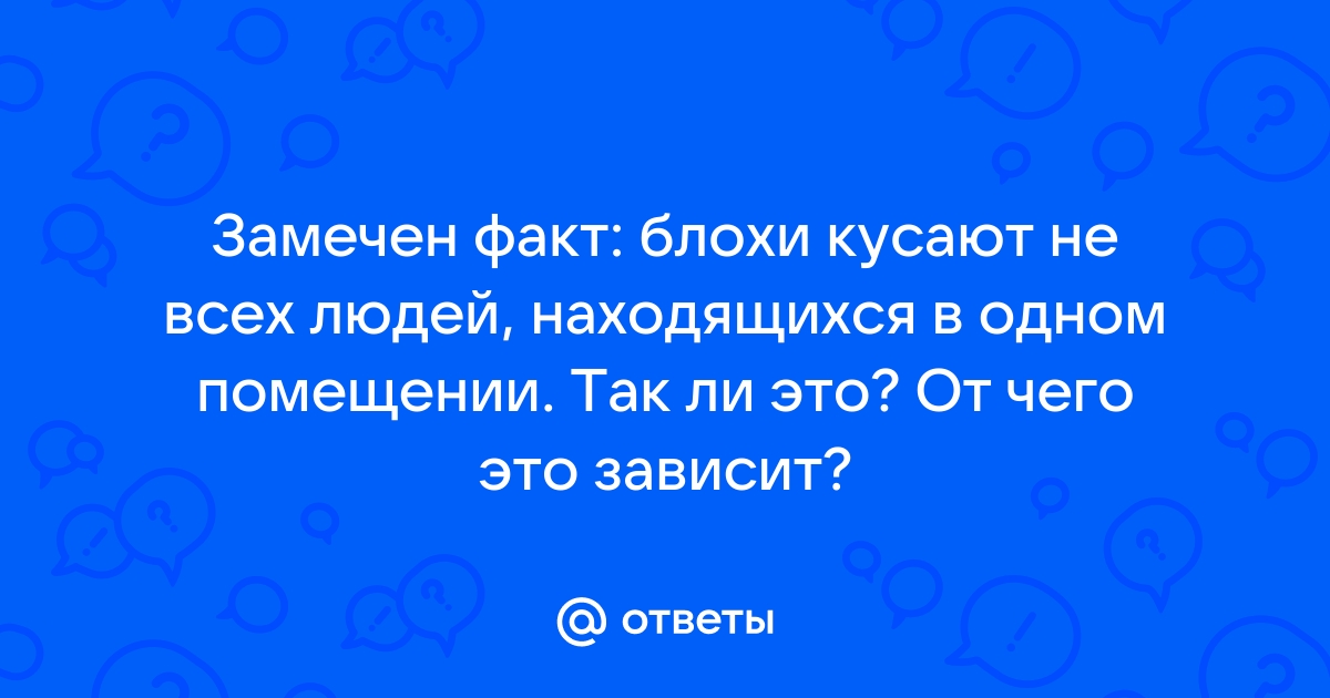 Блохи кусают человека: почему и как это происходит