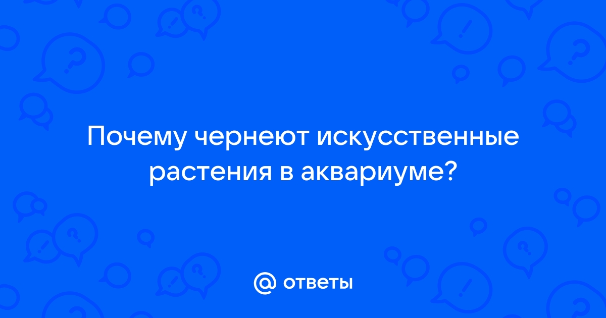 Почему в аквариуме чернеют водоросли?