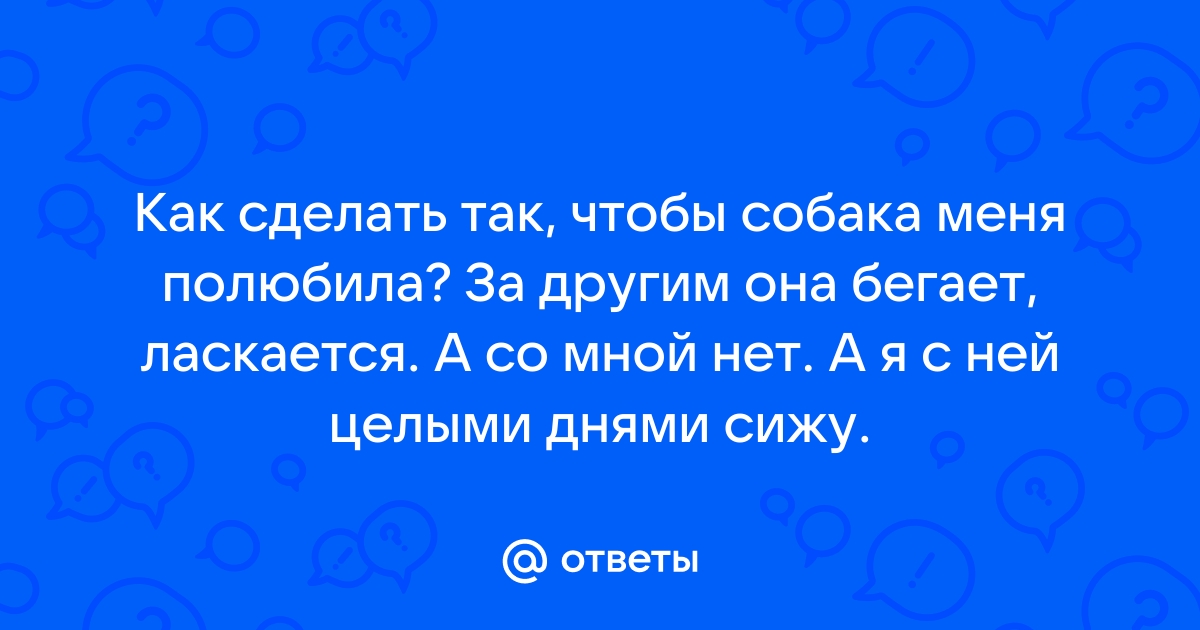 10 советов, которые помогут подружиться с незнакомой собакой