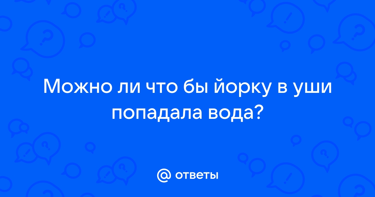 Воспаление уха у собак — симптомы, лечение и профилактика