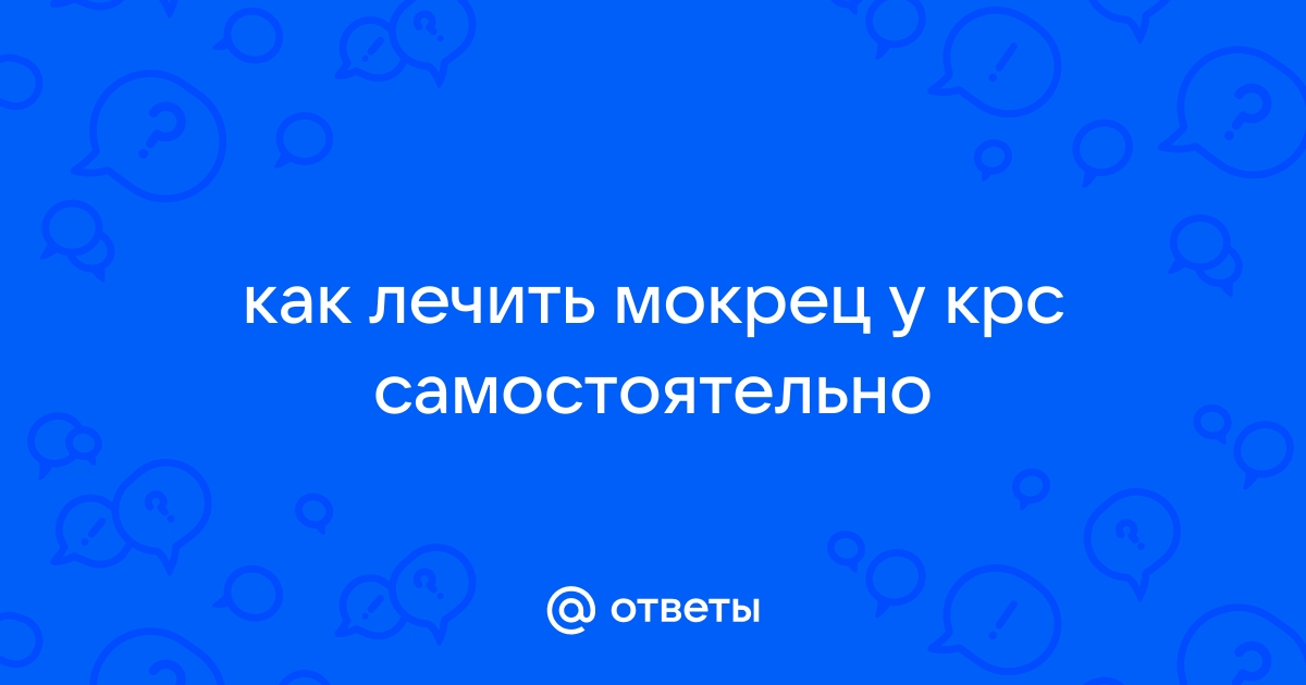 Как лечить болезни копыт у коров (хромота и прочие признаки заболеваний)