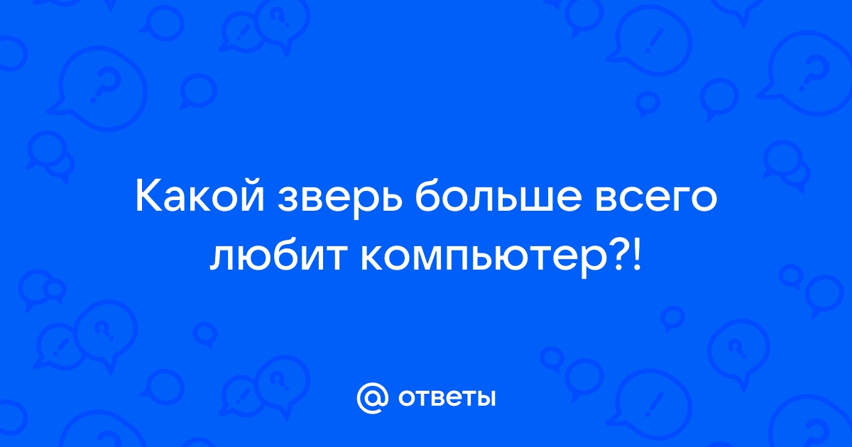 Какой зверь любит компьютер больше всего