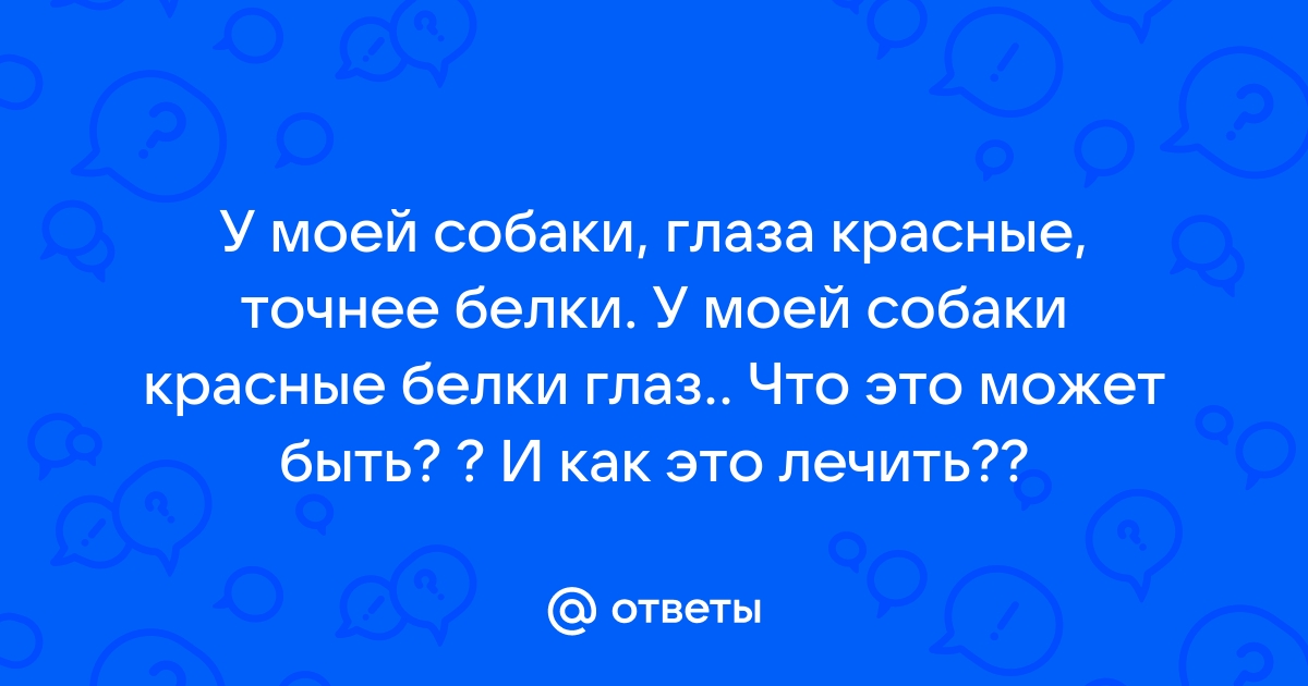 Вэлкорм: Статьи и интересные материалы о животных