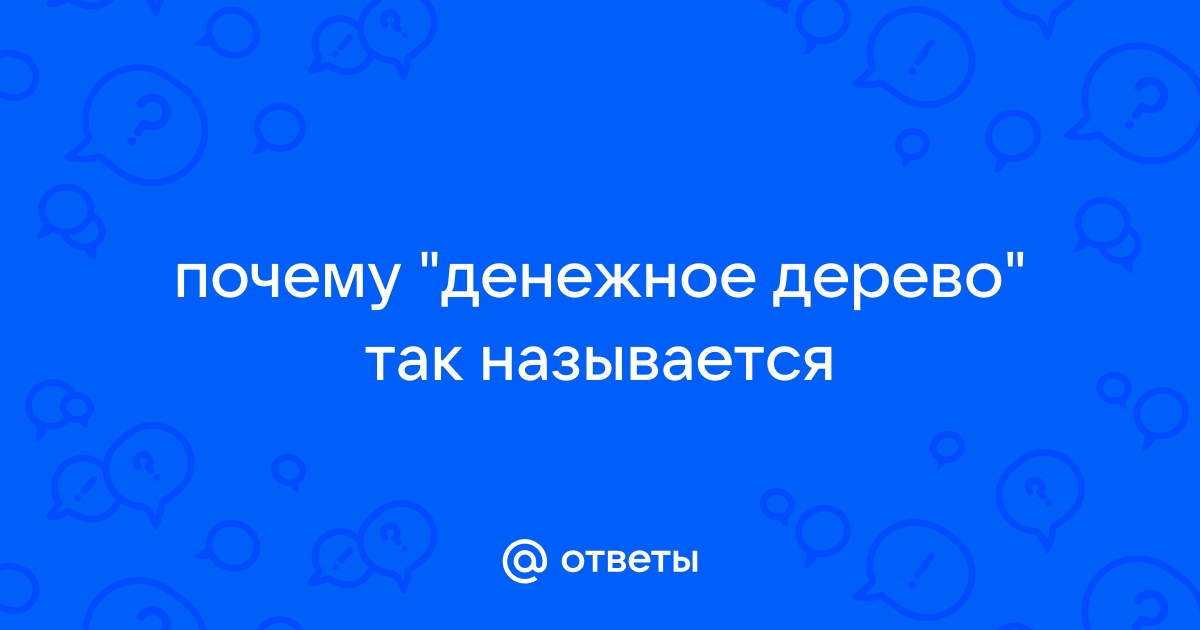 Крассула или денежное дерево !