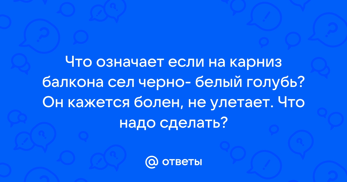 Голубь сел на карниз балкона