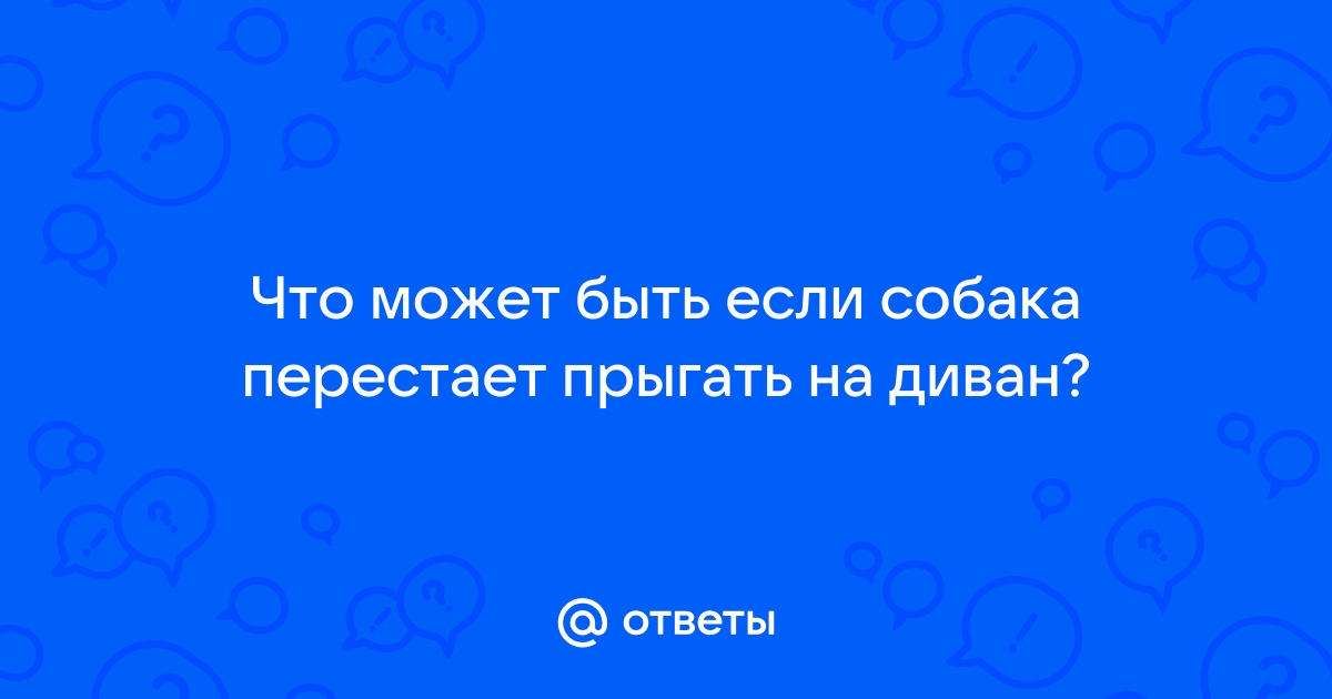 Собака резко перестала запрыгивать на диван