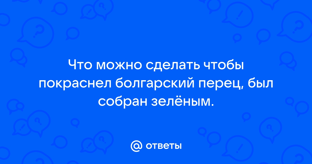 Резко похолодало, что делать с зеленым перцем на огороде?