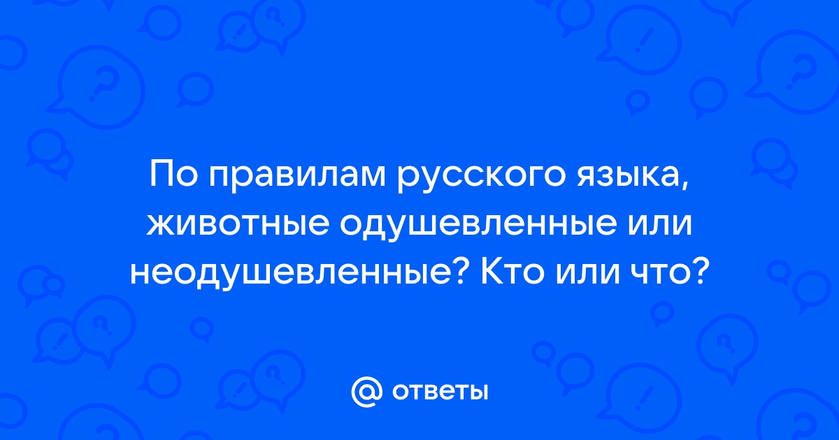 Почему мы видим лица у неодушевленных предметов?