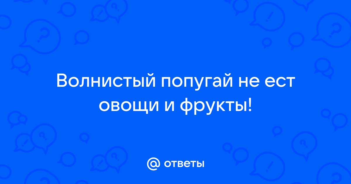 Как приучить попугая к новой еде? : Кормление попугаев - Страница 2