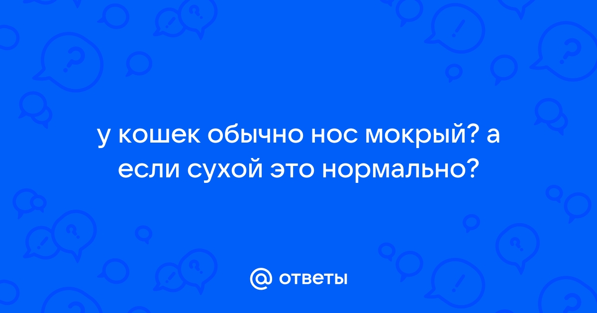 Мокрый нос ишим телефон режим работы