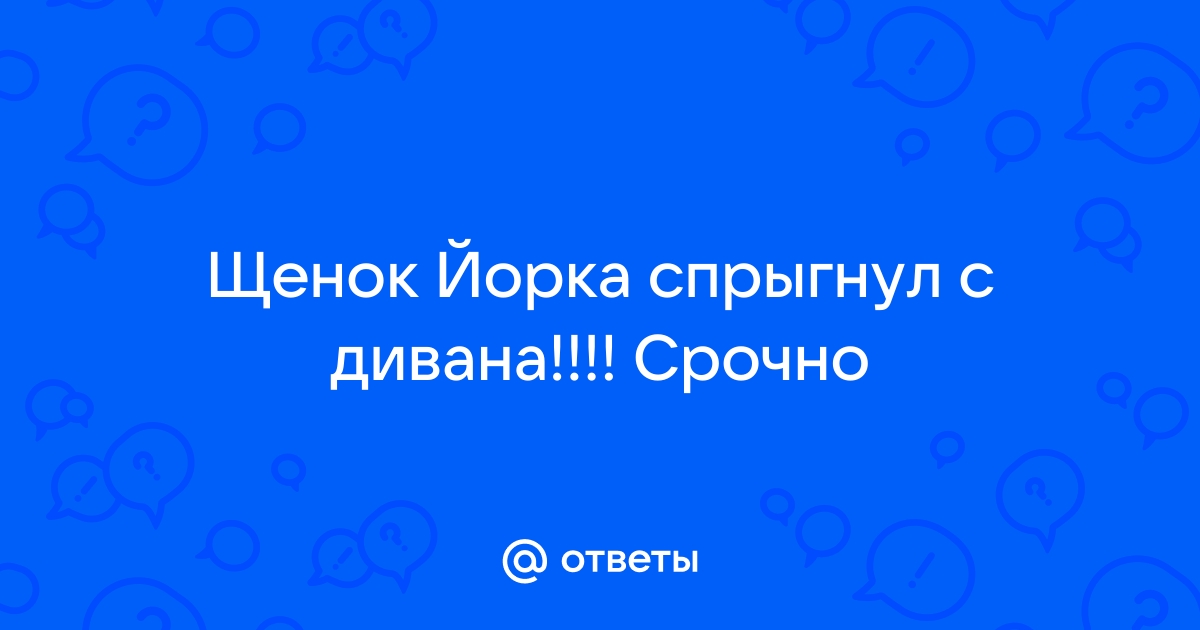 Щенок спрыгнул с дивана