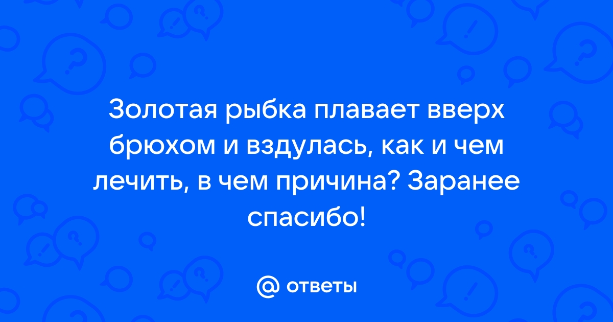 Почему золотые рыбки становятся перевертышами? | АквариумОК