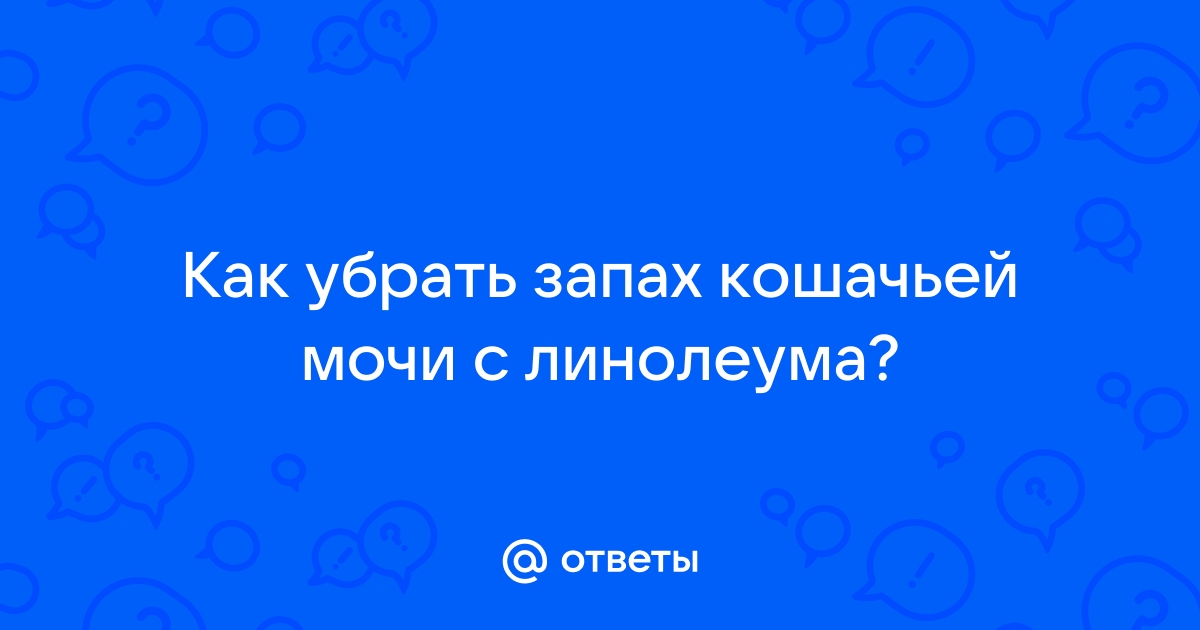 8 способов избавиться от кошачьего запаха в квартире и доме