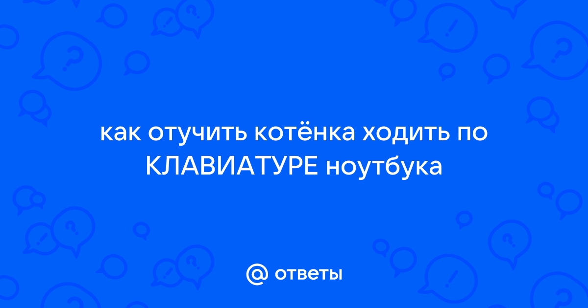 Кот прошел по клавиатуре и экран перевернулся что делать