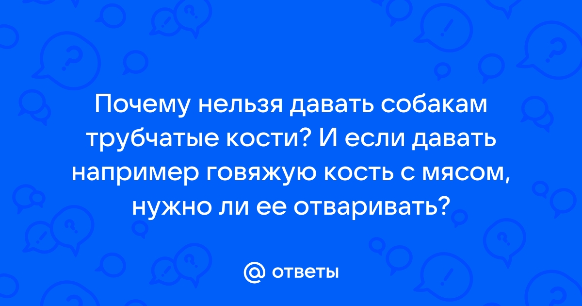 Можно ли собакам давать кости - Собаки обзор на Gomeovet