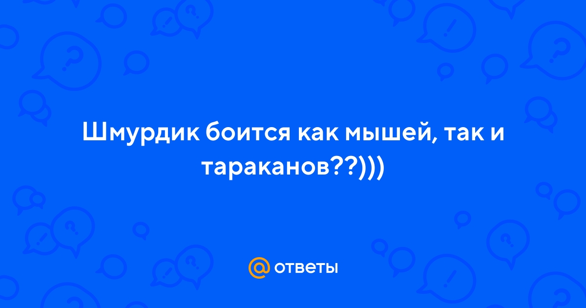 Три крутых теста, чтобы развлечься и получше узнать себя — qwkrtezzz.ru