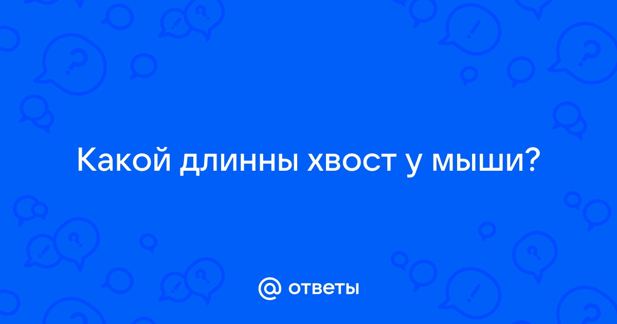 Все форумы > Для чего у мышки хвостик?