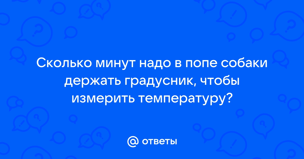 Зима в Украине – в Карпатах на горе Поп Иван замело снегом – фото и видео - Апостроф