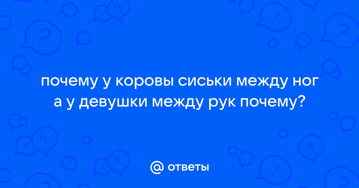 Если б у телки еще были сиськи