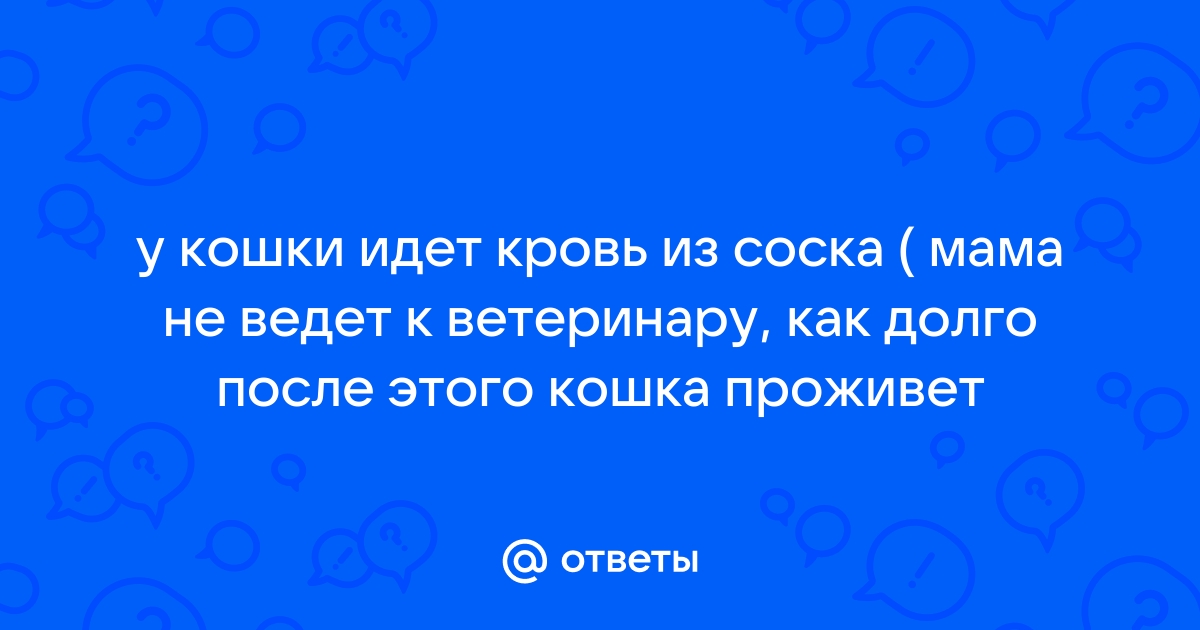 Ответы Mailru: у кошки идет кровь из соска ( мама не ведет к